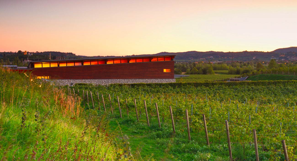 Barone Pizzini Winery